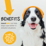maxxipaws® - maxxicalm for dogs