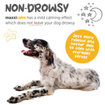 maxxipaws® - maxxicalm for dogs