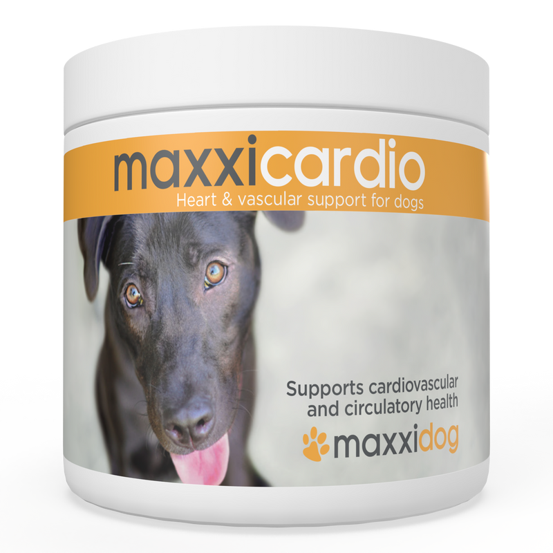 maxxipaws® - maxxicardio for dogs