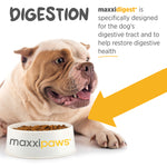 maxxipaws® - maxxidigest+ for dogs