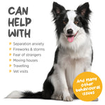 maxxipaws® - maxxicalm for dogs