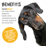 maxxipaws® - maxxidigest+ for dogs