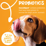 maxxipaws® - maxxidigest+ for dogs