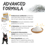 maxxipaws® - maxxidigest+ for dogs